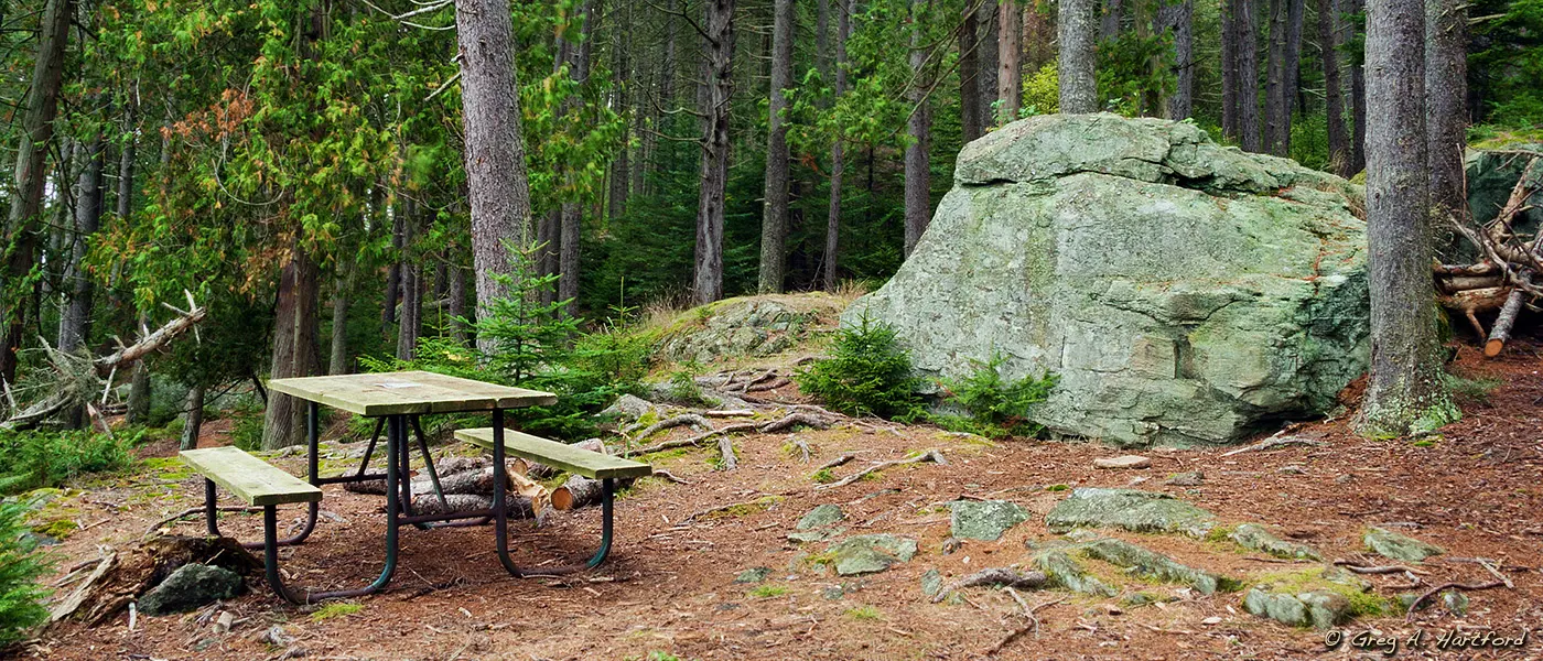 Pretty Marsh Picnic Area in Acadia National Park in Bar Harbor, Maine